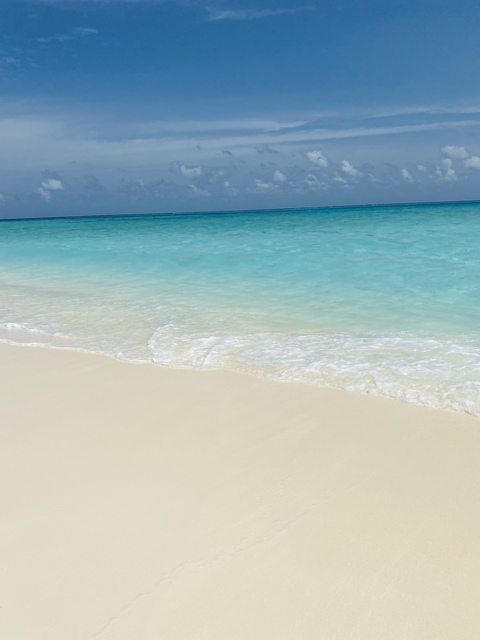 Image d'en-tête OnlyFans joicoleart