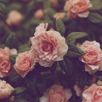 صورة الملف الشخصي على OnlyFans jordyn