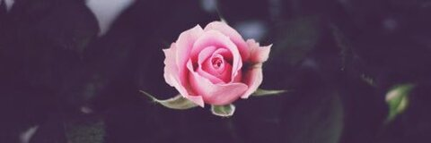 صورة رأس OnlyFans jordyn