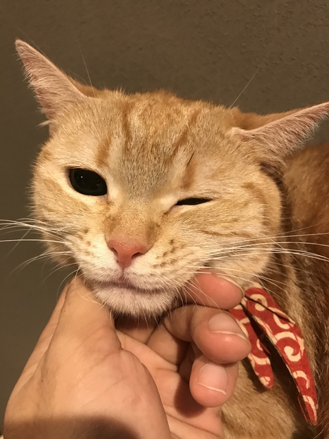 Obraz nagłówka OnlyFans joykimforyou