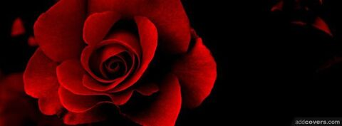 Gambar header OnlyFans julie-rose