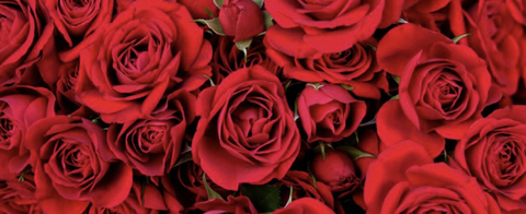 OnlyFans üst resmi justsomegirl25