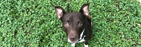 Снимка на заглавие на OnlyFans kailieyeager7