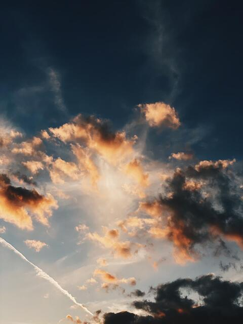 Снимка на заглавие на OnlyFans kansaseatbeef