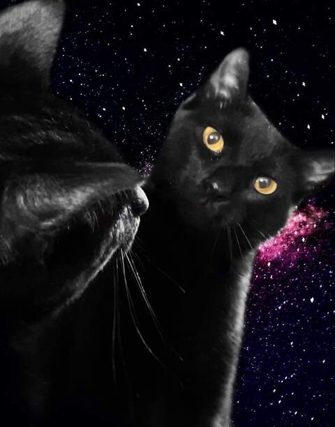 OnlyFans हेडर तस्वीर katthegat