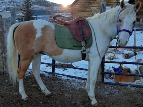 صورة رأس OnlyFans kelseathathorsegirl