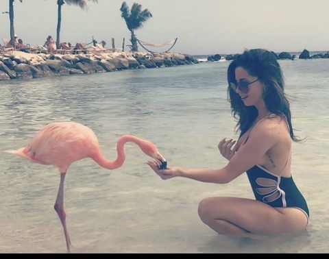 OnlyFans kopafbeelding kiersteezy