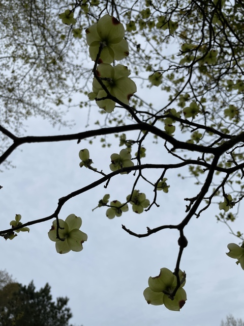 Image d'en-tête OnlyFans kittyscott1