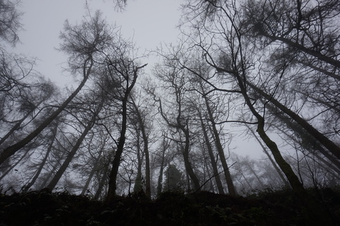 صورة رأس OnlyFans krislilli