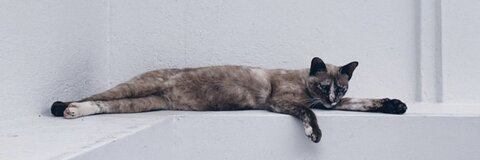 OnlyFansヘッダー写真 lai91640829