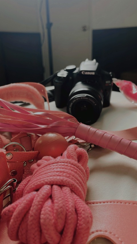 OnlyFans हेडर तस्वीर lamorralissa