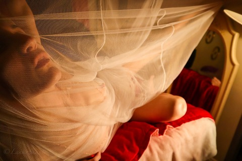 Image d'en-tête OnlyFans lankyskank