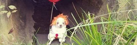 Image d'en-tête OnlyFans lauren