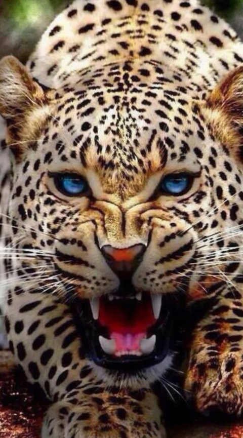 Imagen de encabezado de OnlyFans de lcpeachez88