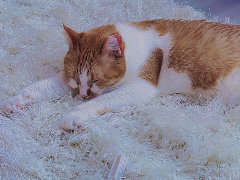 Gambar header OnlyFans leanalovings