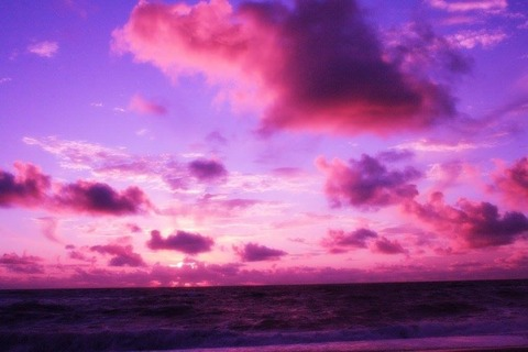 Снимка на заглавие на OnlyFans lei_id0lls