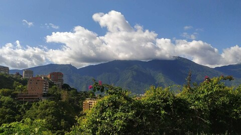 OnlyFans 헤더 사진 leialeialeia