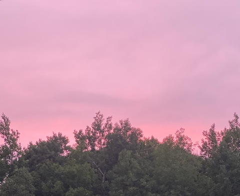 OnlyFans हेडर तस्वीर leighamaeroa