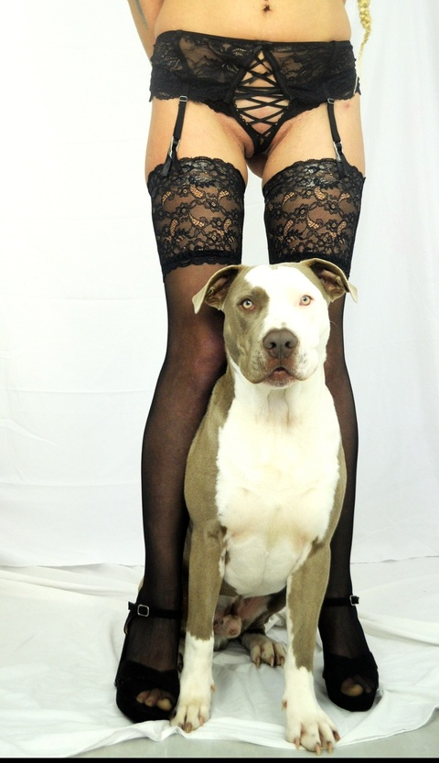 OnlyFans üst resmi leirevillar