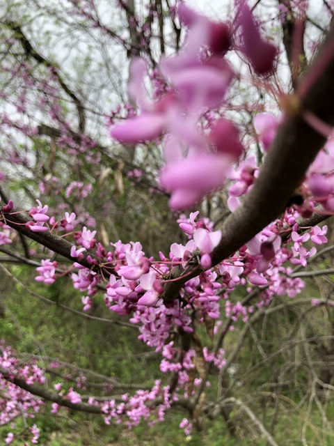 Imagen de encabezado de OnlyFans de leofrost