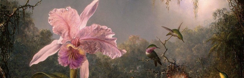 Image d'en-tête OnlyFans lightdoula