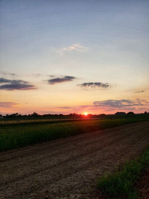 OnlyFans 헤더 사진 likeapinkpanther