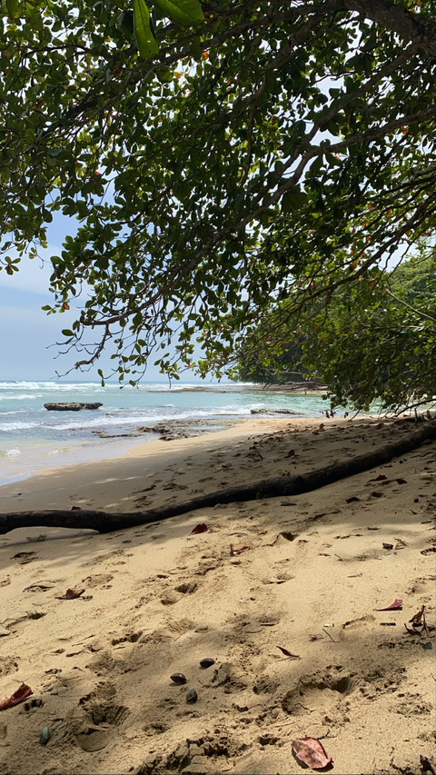 OnlyFans kopafbeelding lilbaddie0602