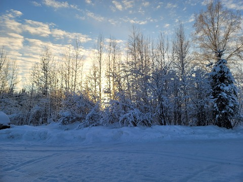 Imagen de encabezado de OnlyFans de lilcutie_c