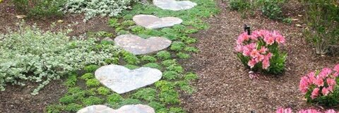 صورة رأس OnlyFans lilpochaco