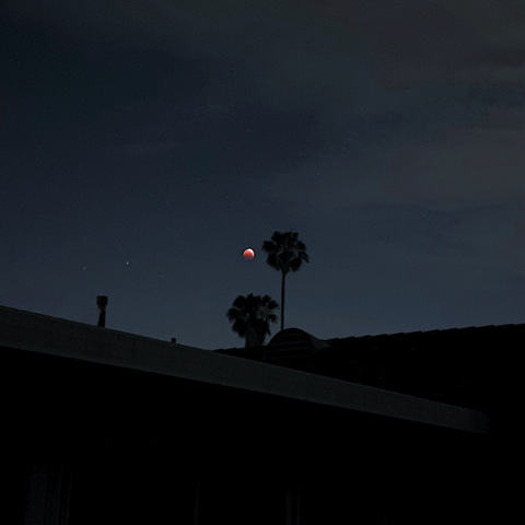 Gambar header OnlyFans lilxmartianfree