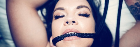 Image d'en-tête OnlyFans little_beefcake