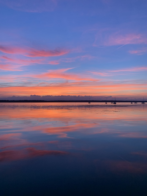 صورة رأس OnlyFans livydet