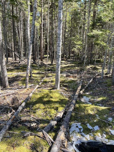 Изображение шапки OnlyFans lladventures