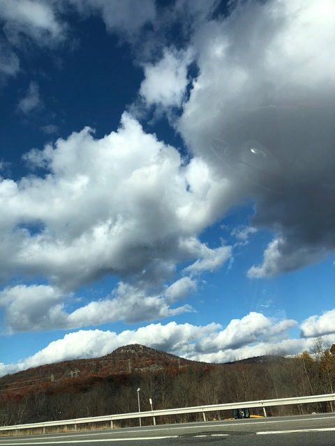 OnlyFans Titelbild logansloane313