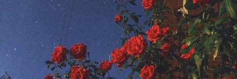 OnlyFans Titelbild lovelunar