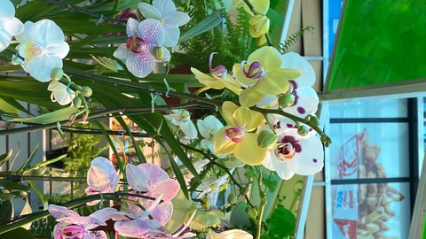 Gambar header OnlyFans loveratho