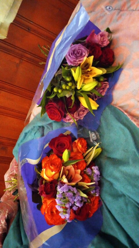 Imagem de cabeçalho do OnlyFans luckandloyal