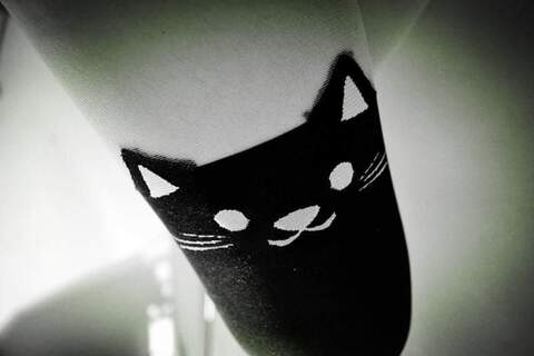 Gambar header OnlyFans lucyboom