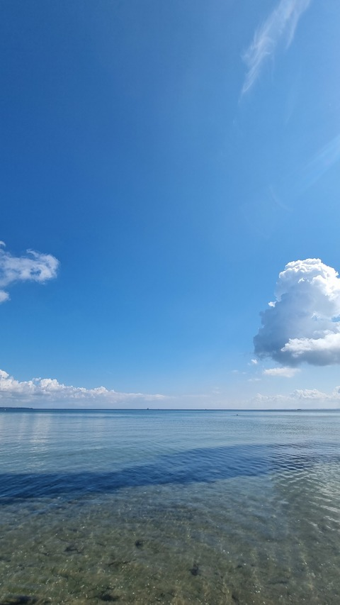 Снимка на заглавие на OnlyFans luisamuskelmensch