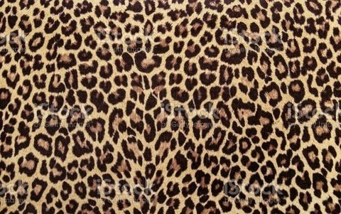 صورة رأس OnlyFans lulu_sxx