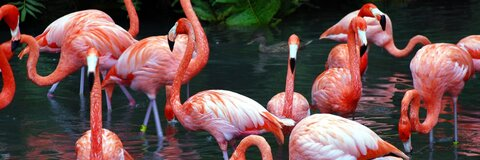 Снимка на заглавие на OnlyFans lunalya