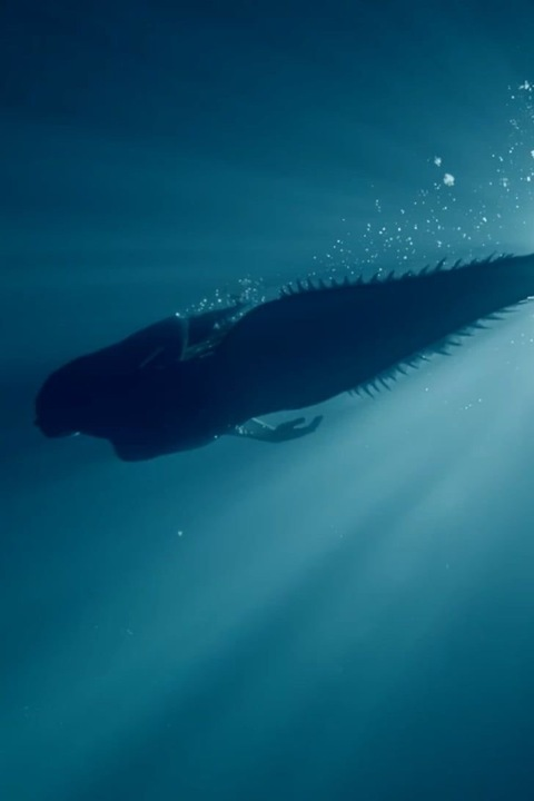 OnlyFans üst resmi lunamialikestoeat