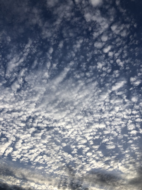 OnlyFansヘッダー写真 maddy199x