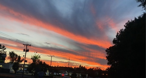 OnlyFans 헤더 사진 madilynn1