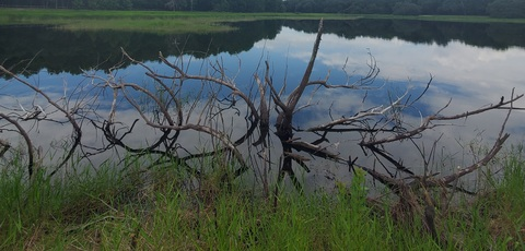 Снимка на заглавие на OnlyFans maiyaakrin