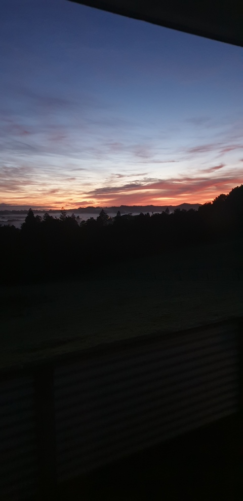 Изображение шапки OnlyFans maoriman