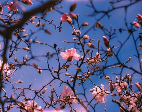 Снимка на заглавие на OnlyFans mariannan