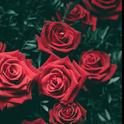 Obraz nagłówka OnlyFans mariehelen