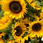 OnlyFans profil resmi maurishka