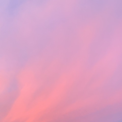 OnlyFans header picture melonzz